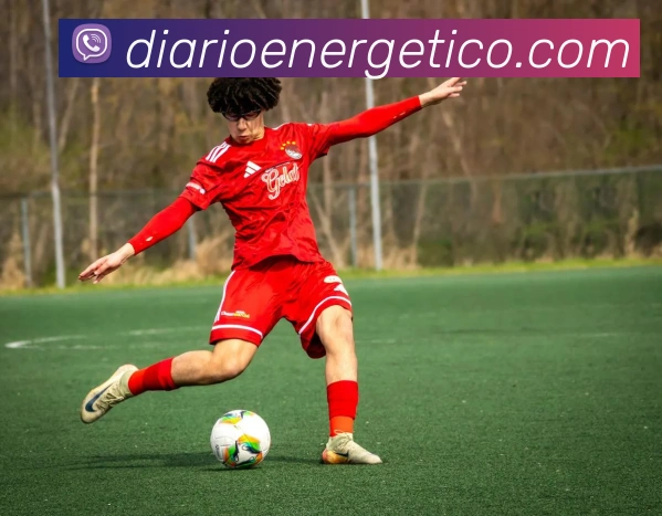 平台展示图
