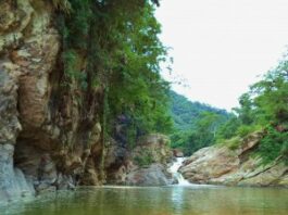 La Reserva Nacional de Flora y Fauna de Tariquía es nuestro santuario natural en el corazón de Tarija que abarca 246,870 hectáreas de un ecosistema diverso y vital. Creada con el objetivo de preservar la rica biodiversidad de la región, esta reserva es un refugio para innumerables especies de flora y fauna, y un punto crucial para la investigación científica, la educación ambiental, la provisión de agua y lluvia y la recreación. Sin embargo, a pesar de su importancia, en plano siglo XXI, Tariquía enfrenta una serie de amenazas que ponen en peligro su integridad y su futuro. La amenaza más inmediata y conocida para la Reserva de Tariquía proviene de la expansión de actividades petroleras en la región. Los recientes planes para la explotación de hidrocarburos dentro de los límites de la reserva han generado una gran preocupación entre ambientalistas, comunidades locales, científicos y en general, todo el departamento de Tarija, sin embargo, las petroleras y las entes del gobierno sostienen que el impacto será mínimo y que se ubican fuera de la reserva. La actividad petrolera en Tariquía no solo representa una amenaza ecológica, sino también social. Las comunidades que han habitado estas tierras durante generaciones se enfrentan a la posibilidad de perder su modo de vida al reemplazarlo por algunos efímeros durante la construcción, tal como pasó en Palos Blancos con Margarita. La contaminación de los ríos y fuentes de agua puede devastar la agricultura y la ganadería, pilares de la economía local. Es crucial que la sociedad reconozca la urgencia de proteger la Reserva de Tariquía, pues el resto de actores son parte interesada y en este caso, presos de las urgencias por aumentar la producción de gas y petróleo en el país. La implementación de políticas públicas que restrinjan las actividades extractivas en áreas protegidas fue un paso fundamental en los 80, pero desde hace una década Bolivia camina en contra ruta por las mismas urgencias económicas. Para hacer frente a la amenaza es importante también fomentar alternativas sostenibles que permitan el desarrollo económico de la región sin comprometer su riqueza natural, pues la necesidad es el principal catalizador del consentimiento. El ecoturismo, la investigación científica y los proyectos de conservación pueden proporcionar ingresos y empleo a las comunidades locales, al mismo tiempo que preservan el medio ambiente reduciendo así su vulnerabilidad ante el asedio extranjero. La Reserva de Tariquía no solo es un tesoro natural de Bolivia, sino del mundo entero. Su biodiversidad única y su papel en el equilibrio ecológico regional son invaluables. La pérdida de este patrimonio natural tendría consecuencias irreversibles no solo para las especies que lo habitan, sino para toda la humanidad. En un contexto global de cambio climático y pérdida de biodiversidad, la protección de áreas como Tariquía se vuelve más crucial que nunca. Cada decisión cuenta, y el tiempo apremia. La defensa de este santuario natural es una responsabilidad compartida que nos incumbe a todos, desde los ciudadanos comunes hasta los líderes gubernamentales. Si permitimos que las actividades petroleras destruyan Tariquía, no solo perderemos un ecosistema vital, sino también parte de nuestra identidad y legado como nación. DESTACADO.- Es crucial que la sociedad reconozca la urgencia de proteger la Reserva de Tariquía, pues el resto de actores son parte interesada