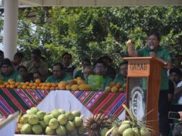 La AJAM suspende trámites de licencia para actividades mineras en Palos Blancos y Alto Beni