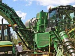 Productores cañeros denuncian que YPFB les adeuda $us 10 millones por la venta de etanol