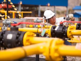 Hidrocarburos afirma que Brasil es un mercado seguro para el gas y garantiza estabilidad de ingresos